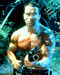 This is an image of 264127 Arnold Schwarzenegger Photograph & Poster