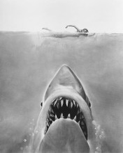 This is an image of 177948 Jaws Photograph & Poster