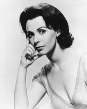 This is an image of 178185 Claire Bloom Photograph & Poster
