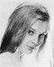 This is an image of 178286 Carol Lynley Photograph & Poster