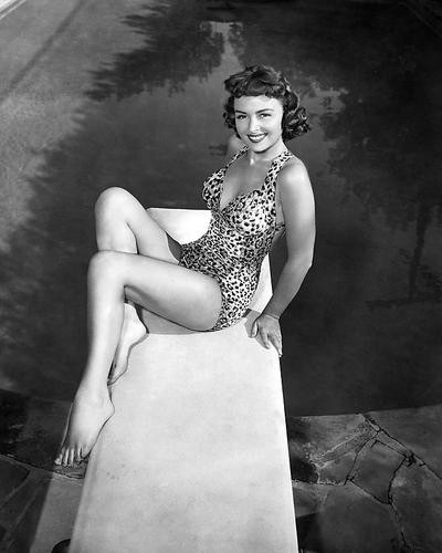 This is an image of 178513 Donna Reed Photograph & Poster