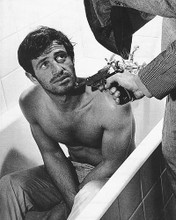 This is an image of 178565 Jean-Paul Belmondo Photograph & Poster