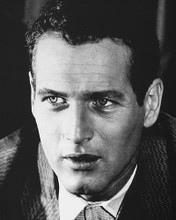 This is an image of 178702 Paul Newman Photograph & Poster