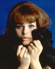 This is an image of 264755 Senta Berger Photograph & Poster