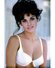 This is an image of 264911 Raquel Welch Photograph & Poster