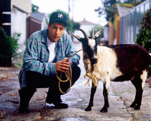 This is an image of 251311 Adam Sandler Photograph & Poster