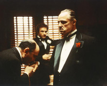 This is an image of 254454 The Godfather Photograph & Poster