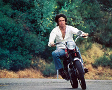 This is an image of 257766 Warren Beatty Photograph & Poster