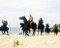 This is an image of 259128 Planet of the Apes Photograph & Poster