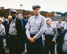 This is an image of 263166 The Shawshank Redemption Photograph & Poster
