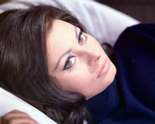 This is an image of 264061 Sophia Loren Photograph & Poster