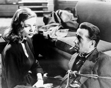 This is an image of 172966 The Big Sleep Photograph & Poster