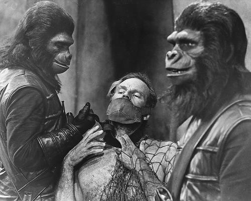 This is an image of 176383 Planet of the Apes Photograph & Poster