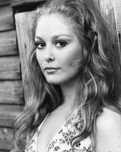 This is an image of 178609 Jenny Hanley Photograph & Poster