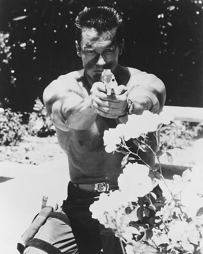 This is an image of 178725 Arnold Schwarzenegger Photograph & Poster
