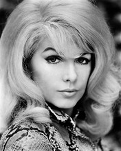 This is an image of 178766 Stella Stevens Photograph & Poster
