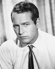 This is an image of 178978 Paul Newman Photograph & Poster