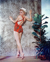 This is an image of 265109 Sheree North Photograph & Poster