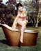 This is an image of 265485 Yvonne Craig Photograph & Poster
