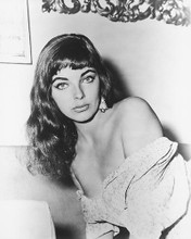 This is an image of 179094 Joan Collins Photograph & Poster