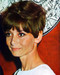 This is an image of 265529 Audrey Hepburn Photograph & Poster
