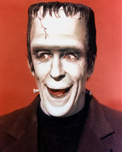 This is an image of 266108 The Munsters Photograph & Poster