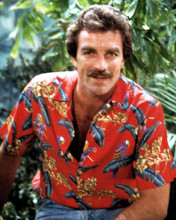 This is an image of 266166 Tom Selleck Photograph & Poster
