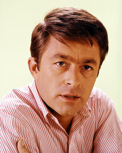 This is an image of 266275 Bill Bixby Photograph & Poster