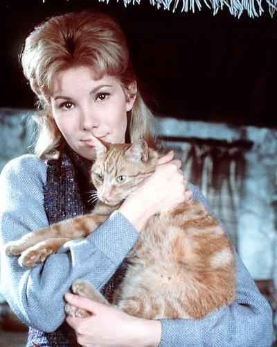 This is an image of 266373 Susan Hampshire Photograph & Poster