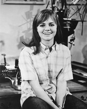 This is an image of 179547 Sally Field Photograph & Poster