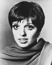 This is an image of 179871 Liza Minnelli Photograph & Poster