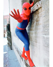 This is an image of 267130 The Amazing Spider-Man Photograph & Poster