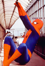 This is an image of 267131 The Amazing Spider-Man Photograph & Poster