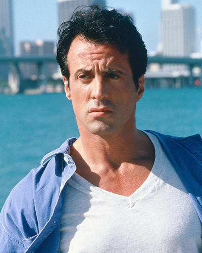 This is an image of 267142 Sylvester Stallone Photograph & Poster