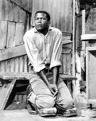 This is an image of 180089 Sidney Poitier Photograph & Poster