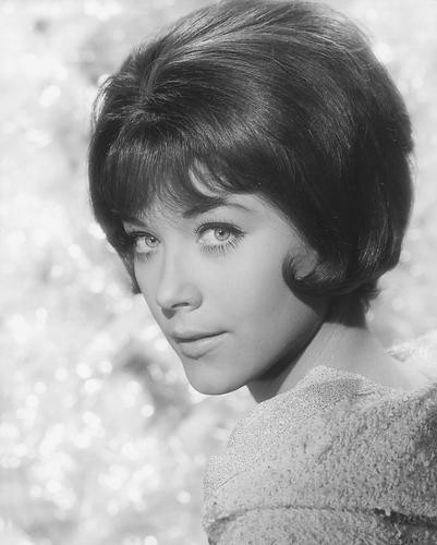 This is an image of 180289 Linda Thorson Photograph & Poster