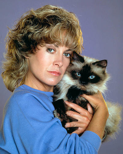 This is an image of 267377 Catherine Hicks Photograph & Poster