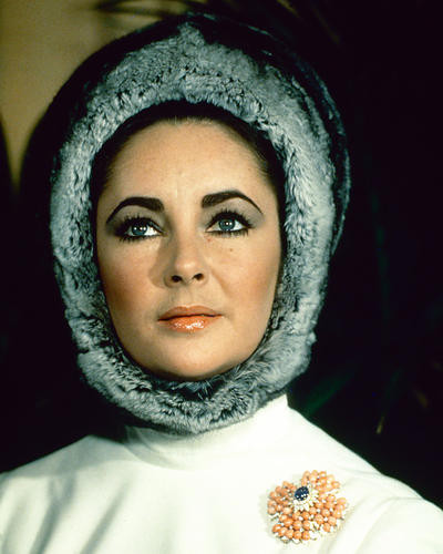 This is an image of 267540 Elizabeth Taylor Photograph & Poster