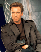 This is an image of 269850 Arnold Schwarzenegger Photograph & Poster