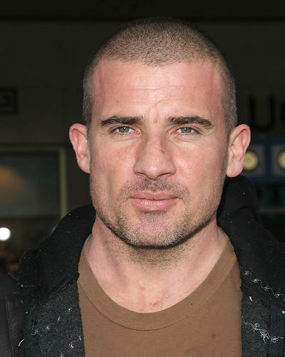 This is an image of 269831 Dominic Purcell Photograph & Poster