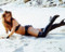 This is an image of 265066 Caroline Munro Photograph & Poster