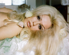 This is an image of 266236 Mamie Van Doren Photograph & Poster