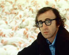 This is an image of 266656 Woody Allen Photograph & Poster