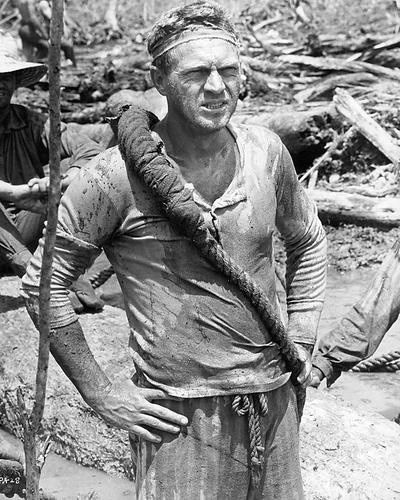 This is an image of 194372 Steve McQueen Photograph & Poster