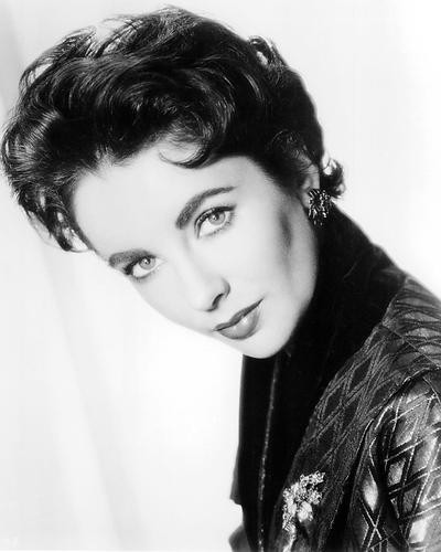 This is an image of 194399 Elizabeth Taylor Photograph & Poster