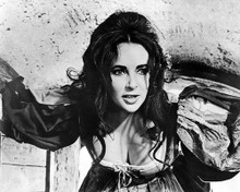 This is an image of 194408 Elizabeth Taylor Photograph & Poster