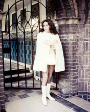 This is an image of 283870 Elizabeth Taylor Photograph & Poster