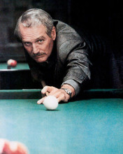 This is an image of 283876 Paul Newman Photograph & Poster