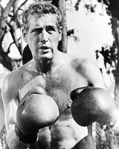 This is an image of 194443 Paul Newman Photograph & Poster