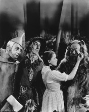 This is an image of 176393 The Wizard of Oz Photograph & Poster